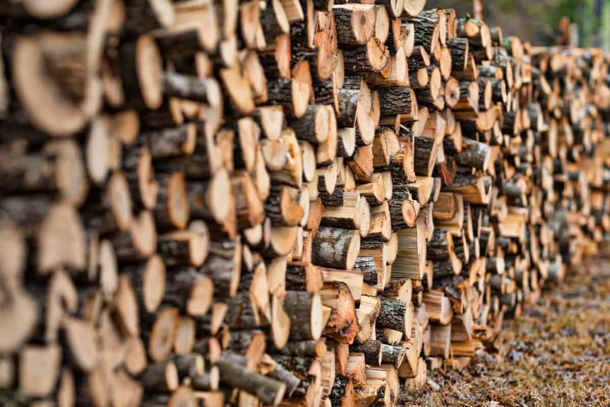 Image of a very long line of stacked firewood.