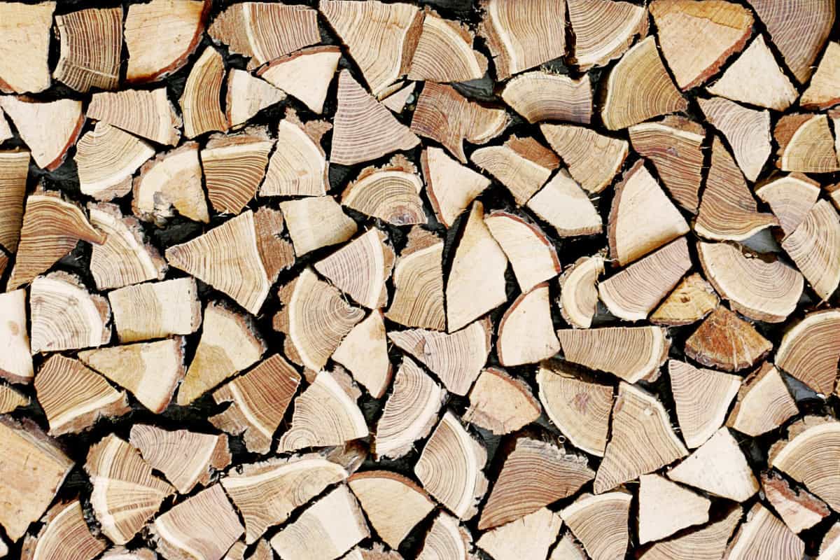 Best Low Smoke Firewood for Solo Stoves