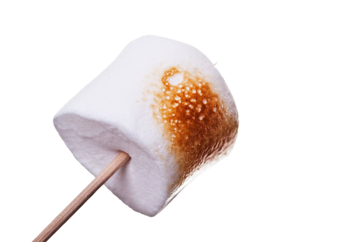 Image of a perfectly roasted marshmallow.