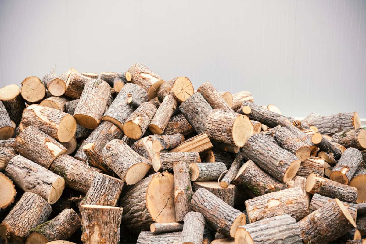 Image of freshly cut unseasoned firewood for an article about Solo Stove smoking.