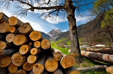 Image of stacked firewood with a mountain in the background for a blog post answering the question, "What is seasoned firewood?"