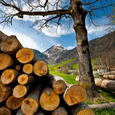 Image of stacked firewood with a mountain in the background for a blog post answering the question, "What is seasoned firewood?"