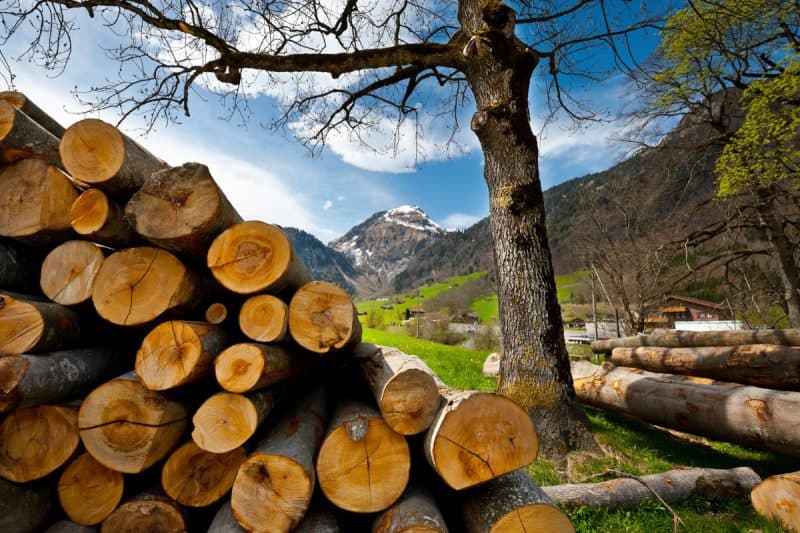 Image of stacked firewood with a mountain in the background for a blog post answering the question, "What is seasoned firewood?"