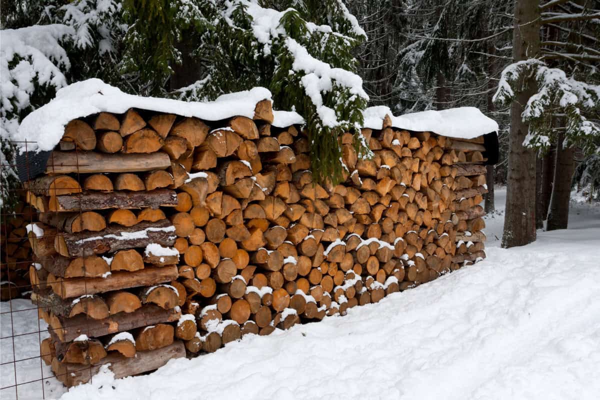 Image of firewood seasoning on a cold winter day.