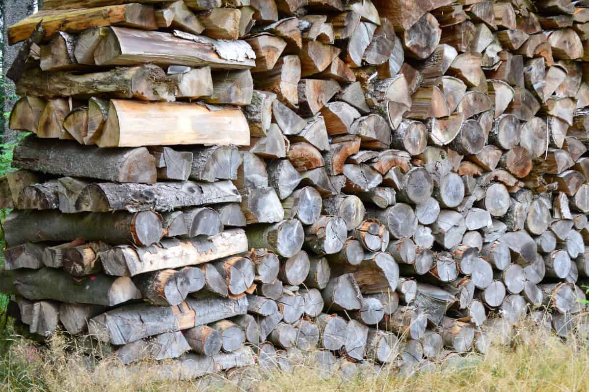 Image of a stack of well-seasoned beech firewood.