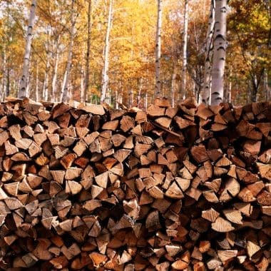 Image of stack firewood in a wooded setting for a blog post covering the best low smoke firewood for a fire pit.