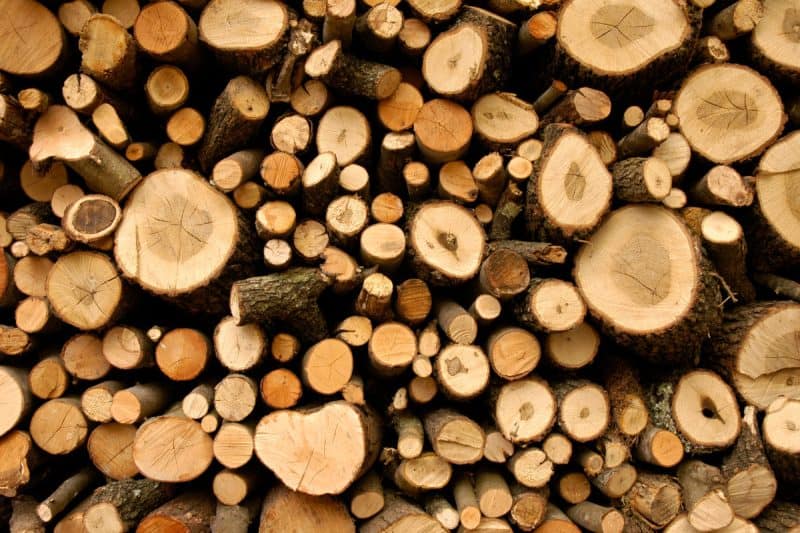 Image of freshly cut green firewood, large and small.