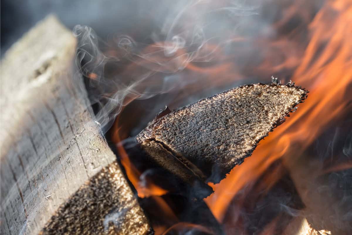 Image of smoking green firewood.