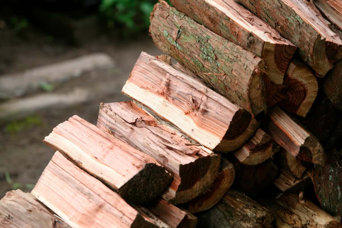 Image of freshly cut cedar firewood for a blog post covering a blog post about green firewood.  