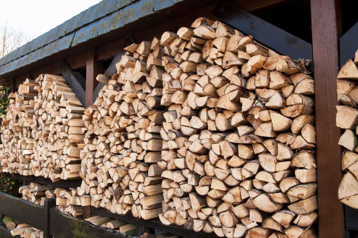 Image of split beech seasoning under cover.