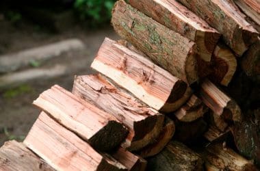Image of a small stack of birch firewood for a firewood buyers guide.