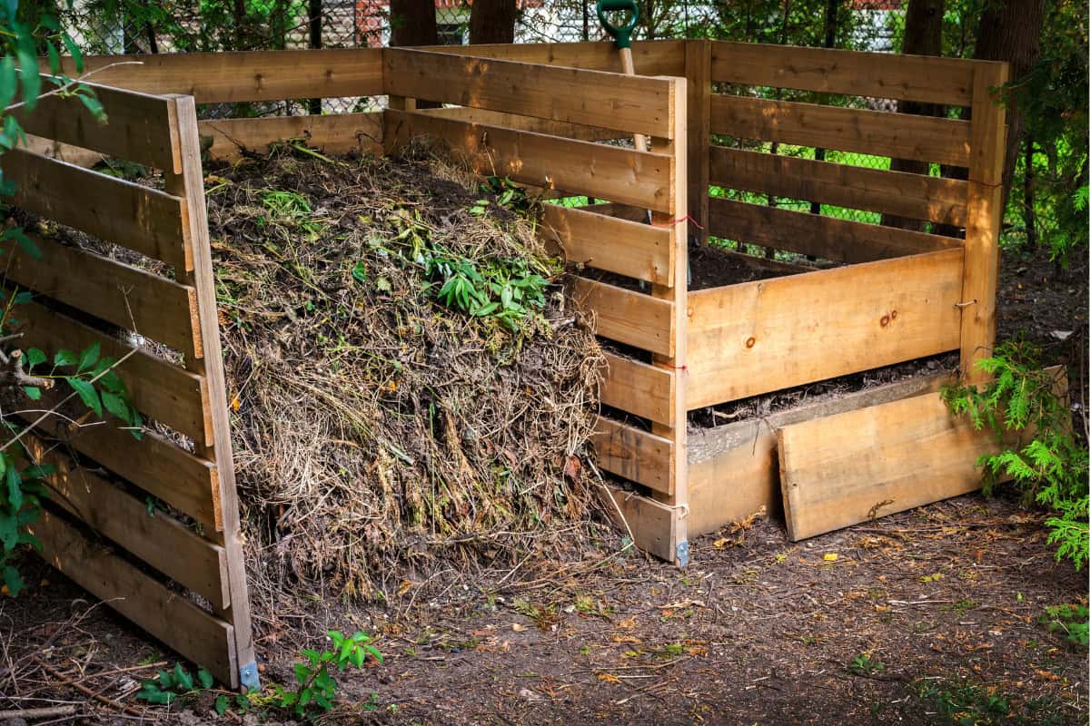 bat-house-to-keep-mosquitoes-away-faqs Image of a compost pile that could benefit from the use of bat guano.