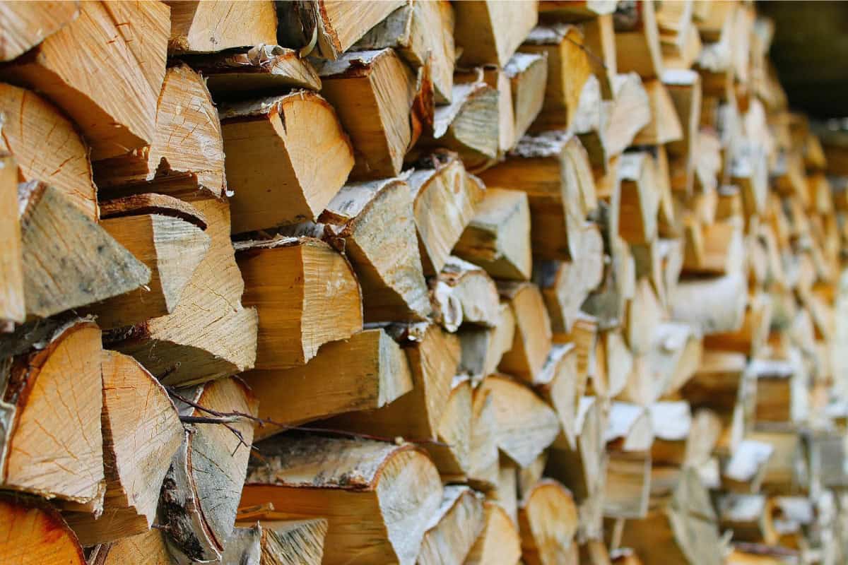 Image of a long stack of well-seasoned birch firewood.
