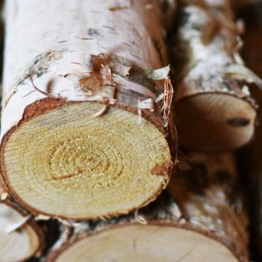 Image of stacked birch logs for a blog post about the best smelling firewood for a fire pit.