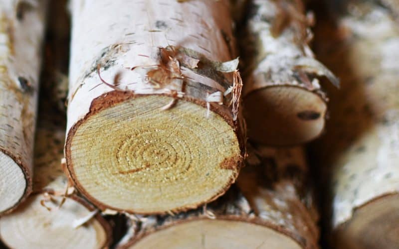 Image of stacked birch logs for a blog post about the best smelling firewood for a fire pit.