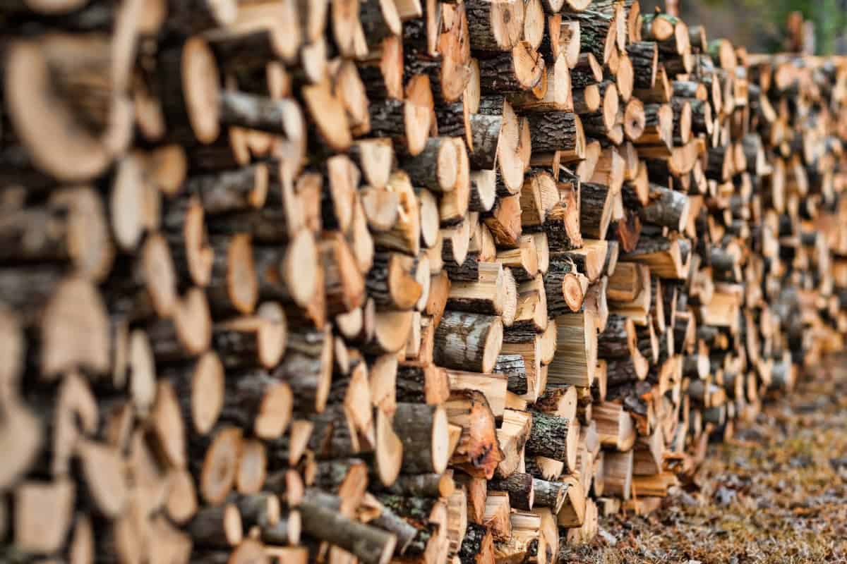 Image of a long stack of split firewood.