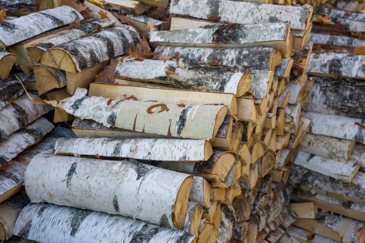 Image of multiple split stacks of split firewood.
